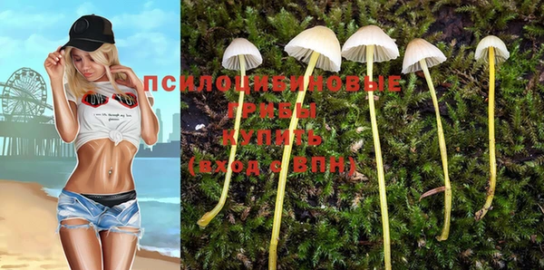 не бодяженный Баксан