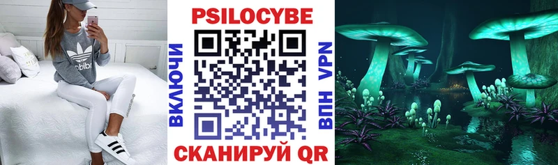 Купить Бабушкин Галлюциногенные грибы мицелий
